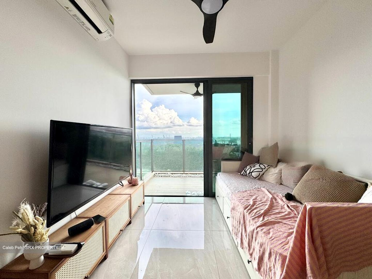 Normanton Park (D5), Apartment #479377731